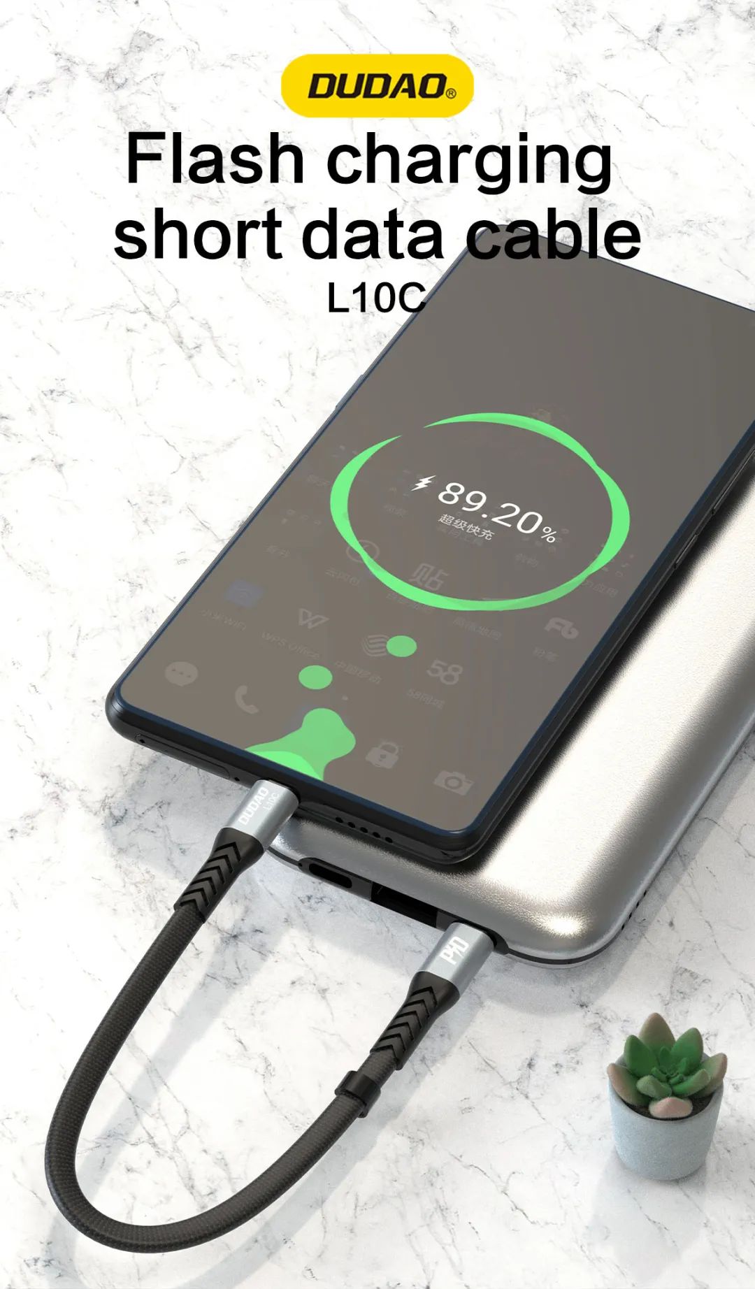 Dudao PD100W Type-C 轉 Type-C 23cm 疾速充電線 L10C